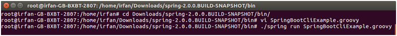 Spring Boot cli 6